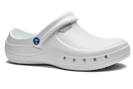 Eziklog Nurse's Shoes