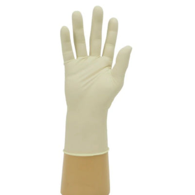 Powder-Free Latex Gloves