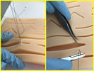 Suture Training Pad with Wounds with Mesh