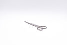 Scissors Open Shank Straight