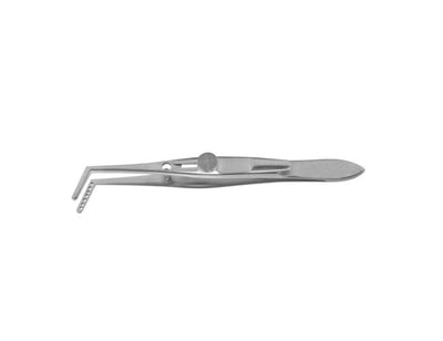 Muscular Forceps