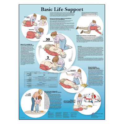 Basic Life Support Chart