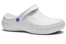 Eziklog Nurse's Shoes