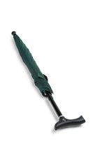 Walking Stick Umbrella Green