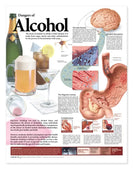 Alcohol Dependence Chart